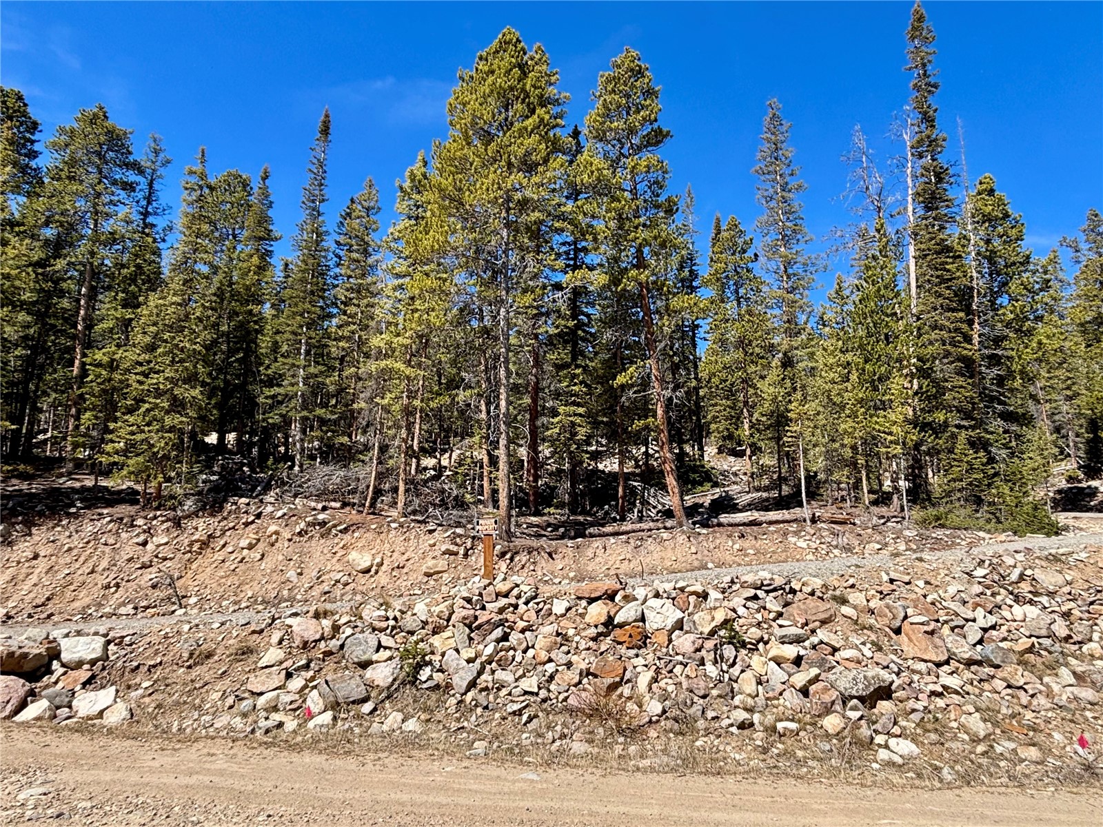 313 Porcupine Road Fairplay CO 80440