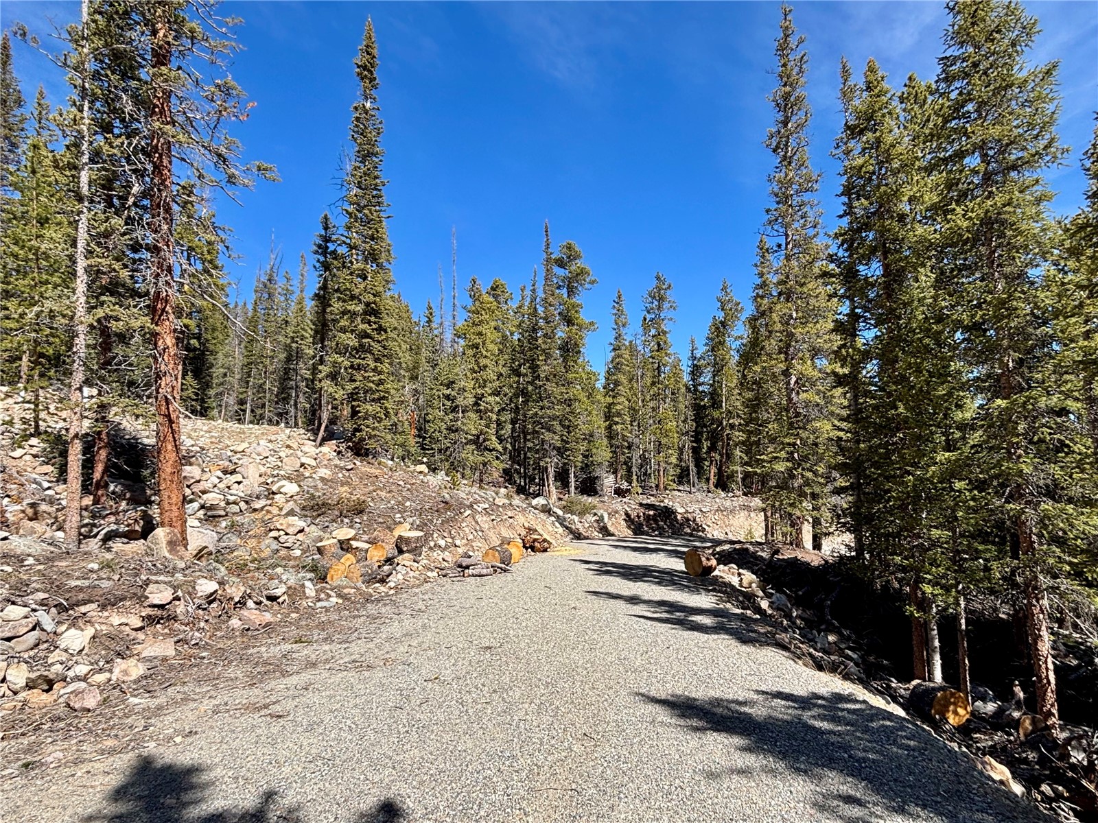 313 Porcupine Road Fairplay CO 80440