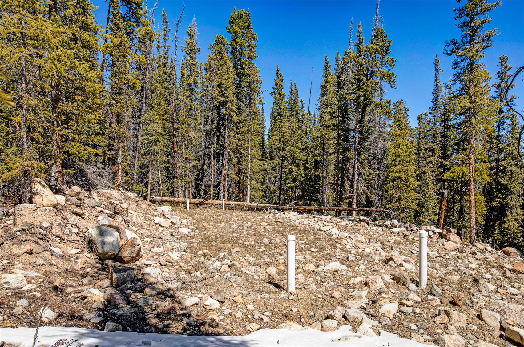 313 Porcupine Road Fairplay CO 80440