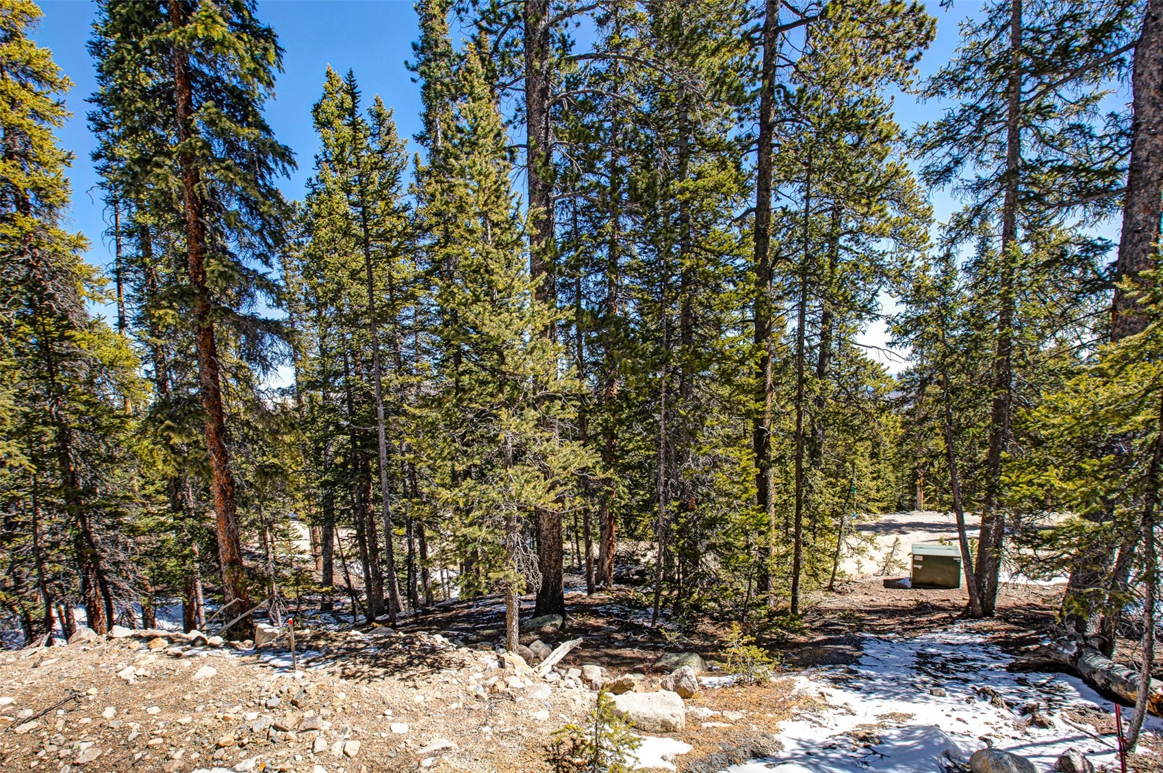 313 Porcupine Road Fairplay CO 80440