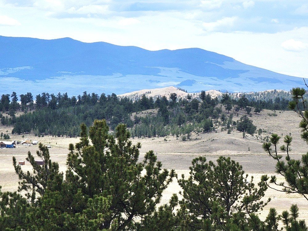 1051 Arapahoe Trail Hartsel CO 80449