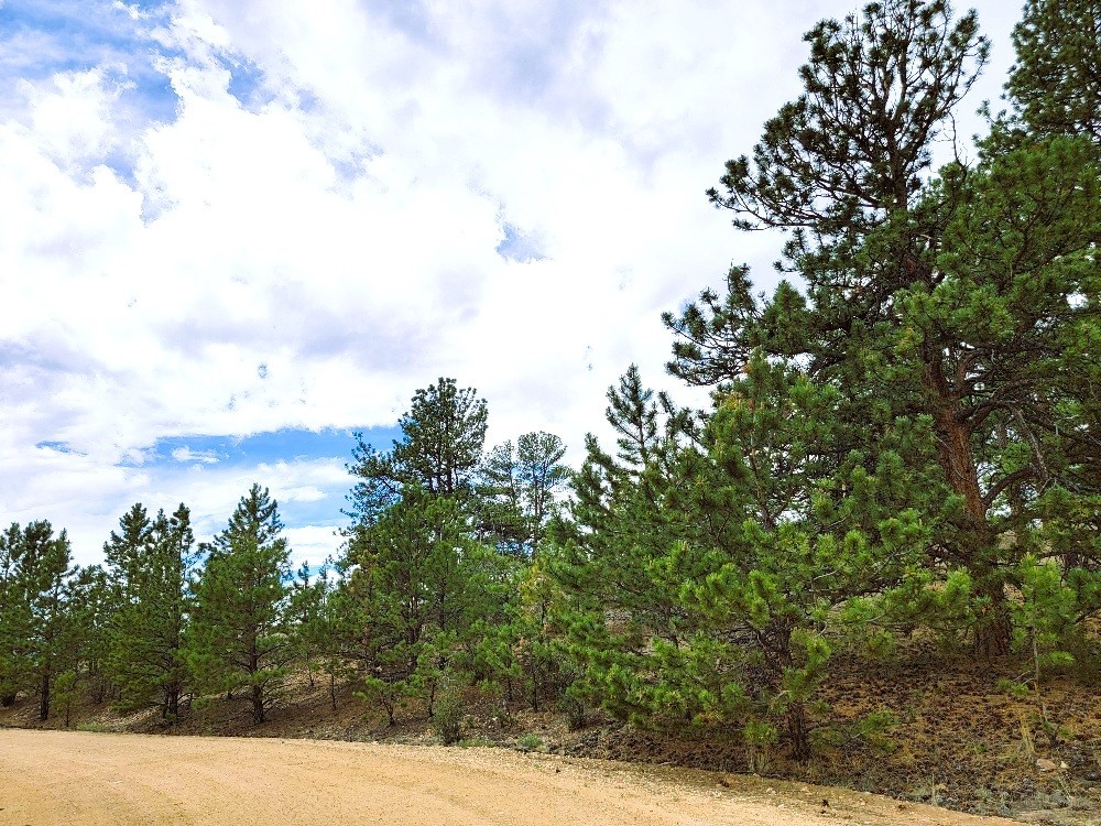 1051 Arapahoe Trail Hartsel CO 80449