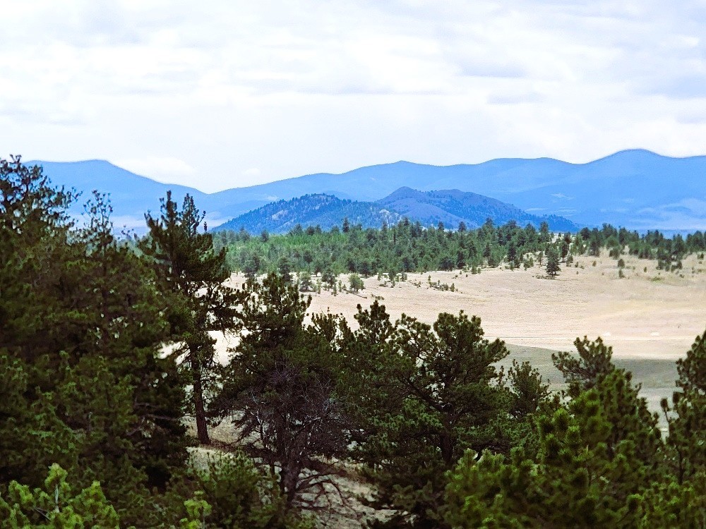 1051 Arapahoe Trail Hartsel CO 80449