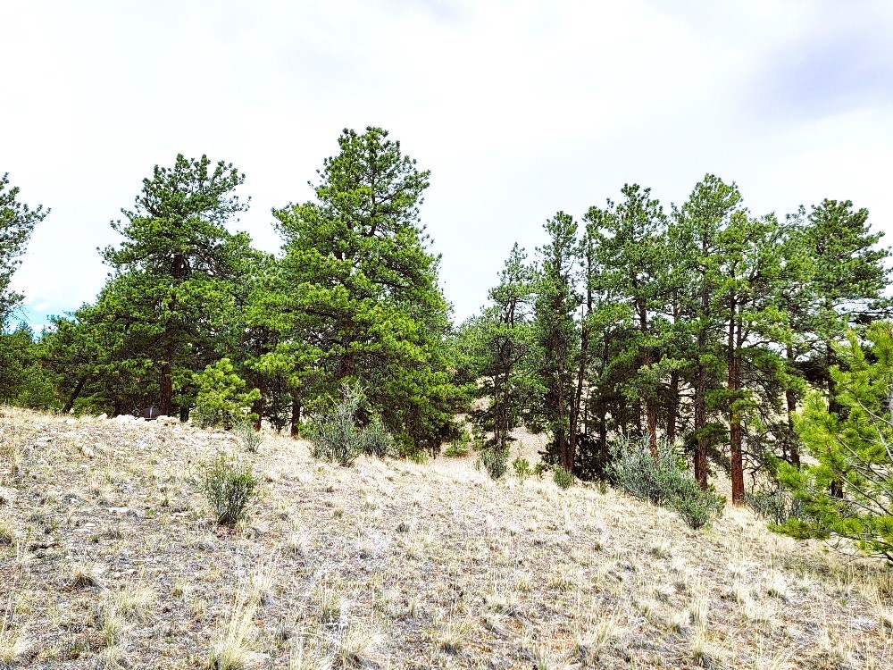 1051 Arapahoe Trail Hartsel CO 80449