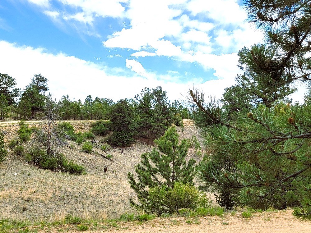 1051 Arapahoe Trail Hartsel CO 80449