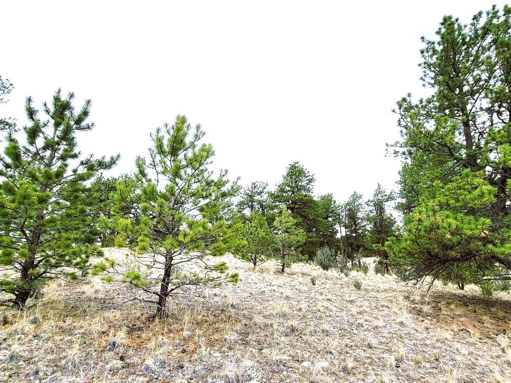 1051 Arapahoe Trail Hartsel CO 80449
