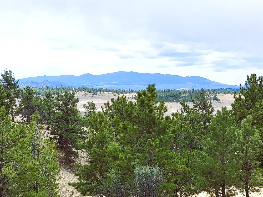 1051 Arapahoe Trail Hartsel CO 80449