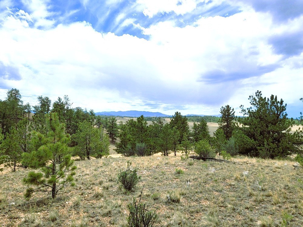 1051 Arapahoe Trail Hartsel CO 80449