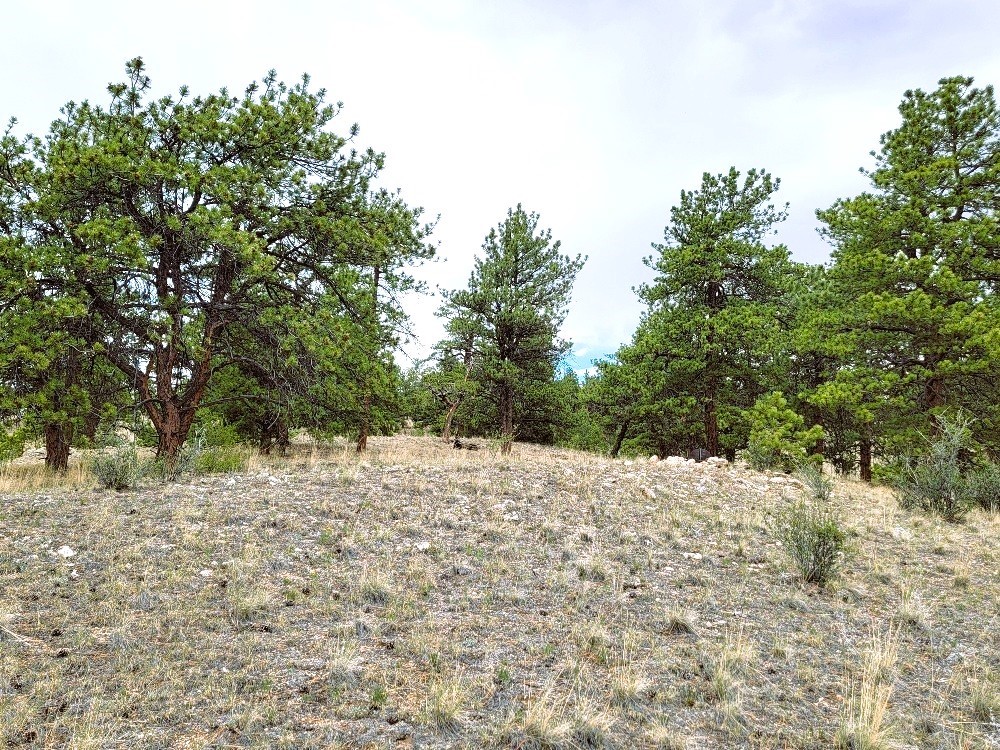 1051 Arapahoe Trail Hartsel CO 80449