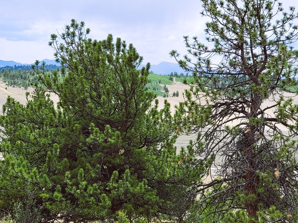1051 Arapahoe Trail Hartsel CO 80449