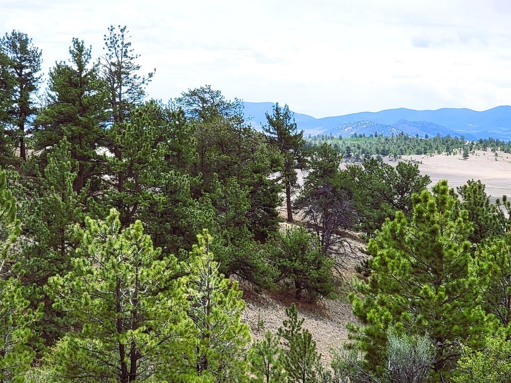 1051 Arapahoe Trail Hartsel CO 80449