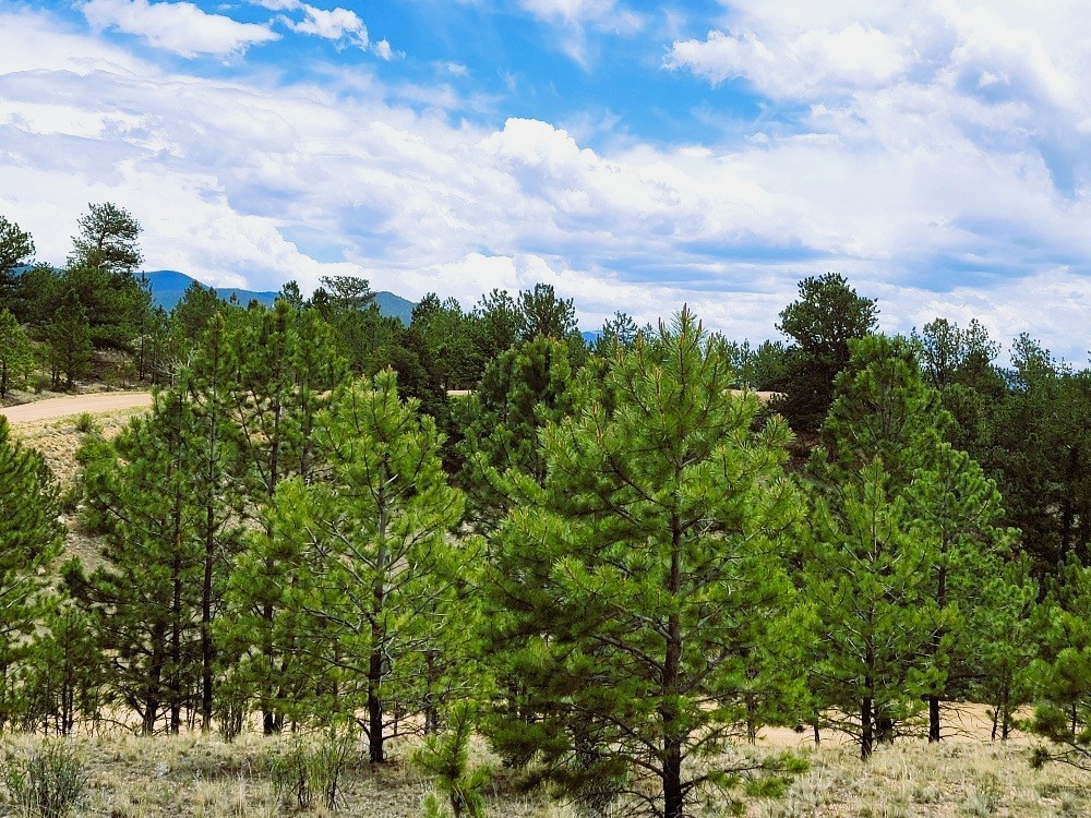 1051 Arapahoe Trail Hartsel CO 80449