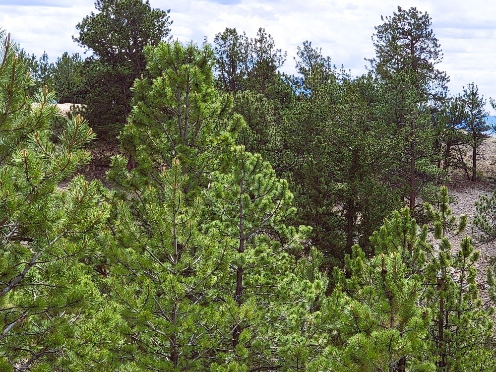 1051 Arapahoe Trail Hartsel CO 80449