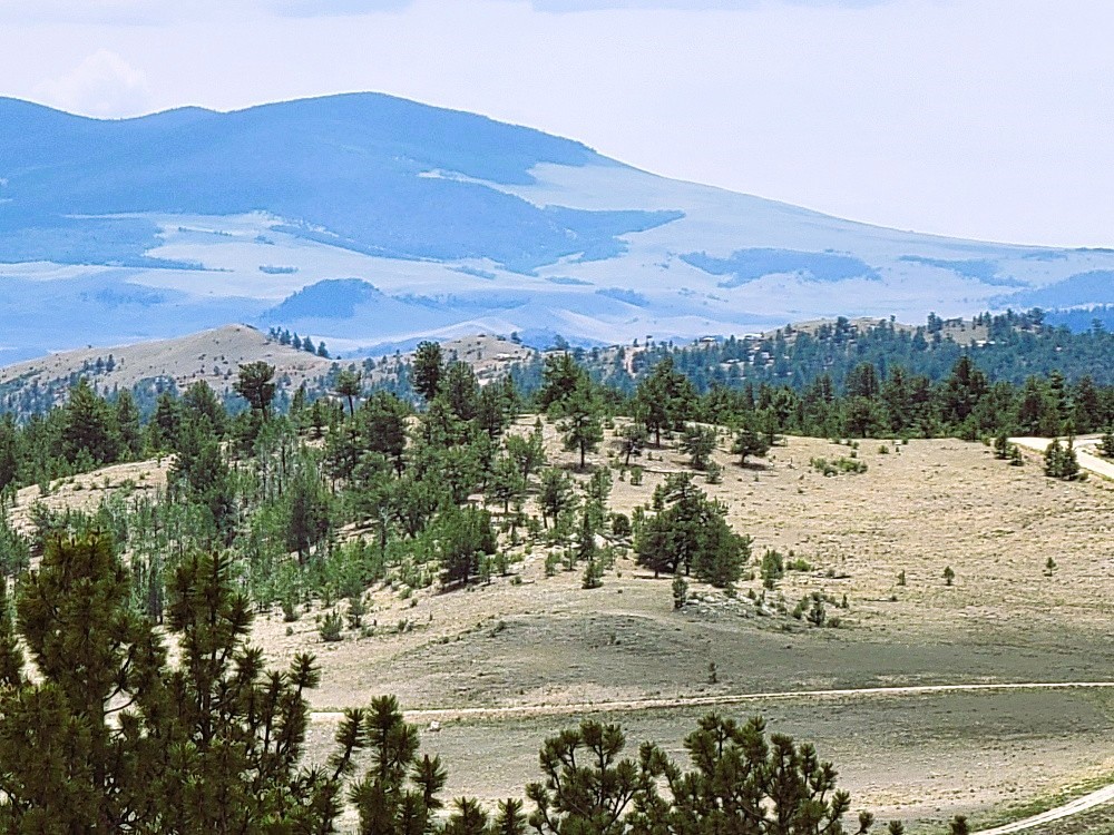 1051 Arapahoe Trail Hartsel CO 80449