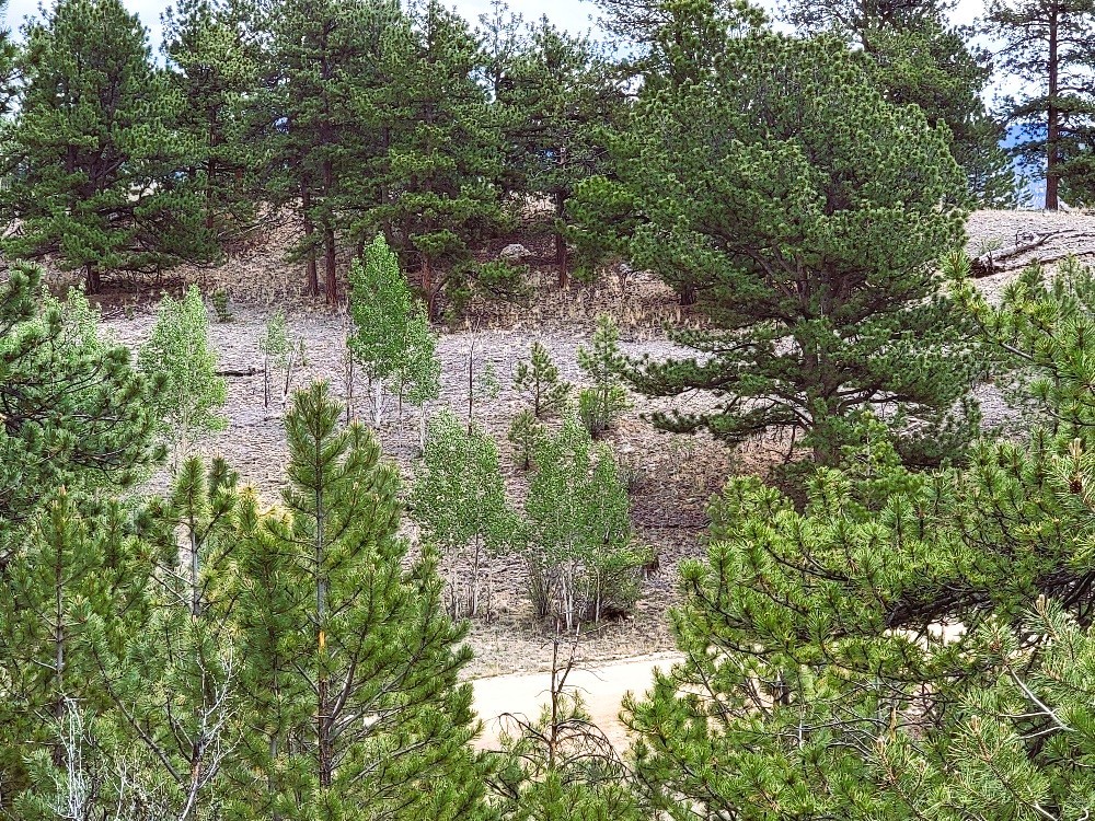 1051 Arapahoe Trail Hartsel CO 80449
