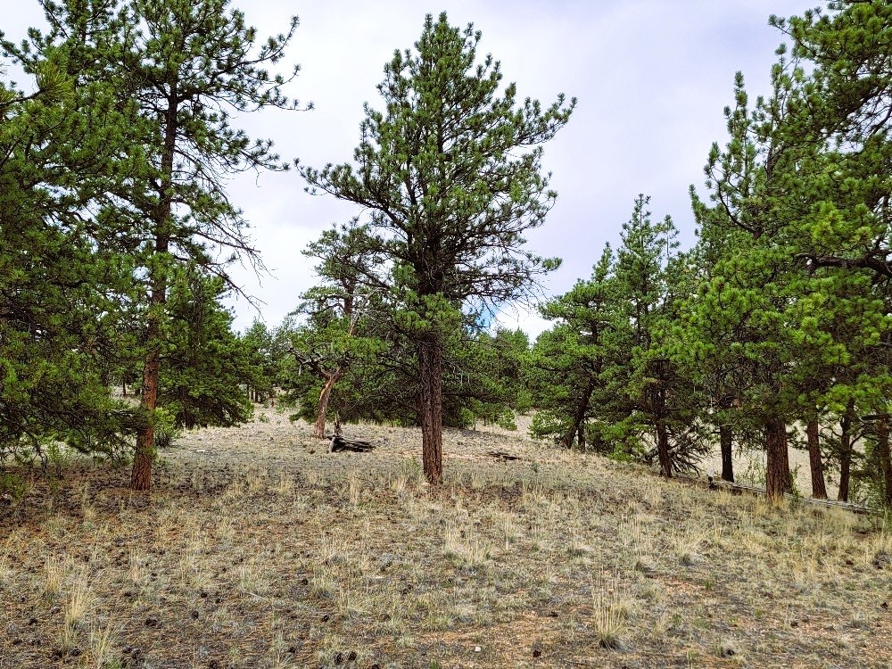 1051 Arapahoe Trail Hartsel CO 80449