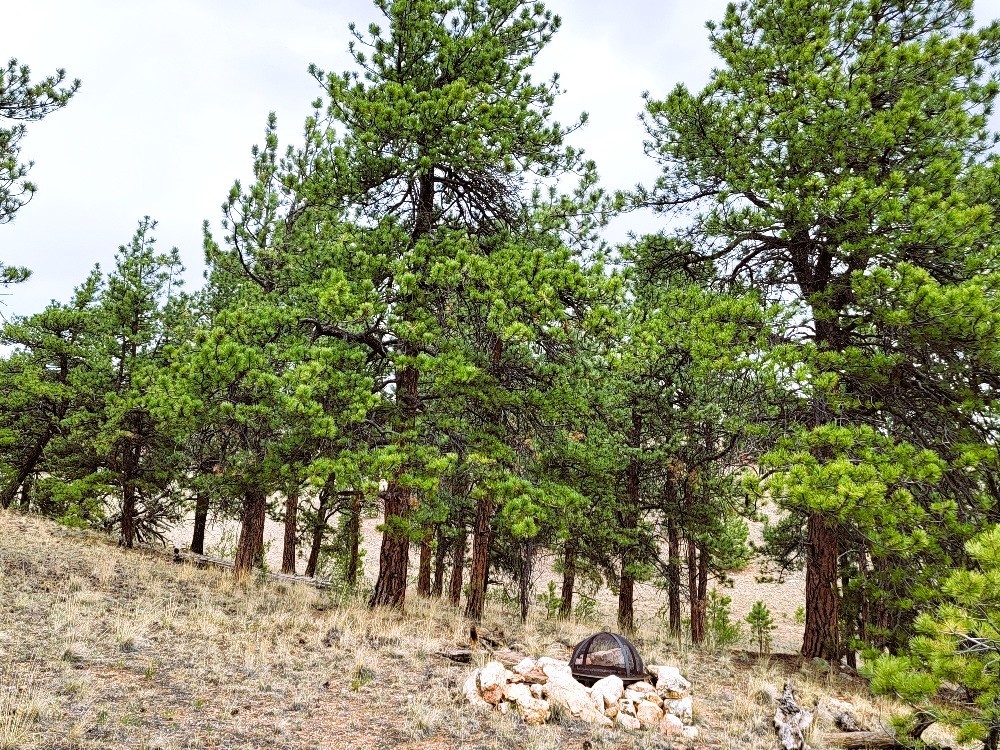 1051 Arapahoe Trail Hartsel CO 80449
