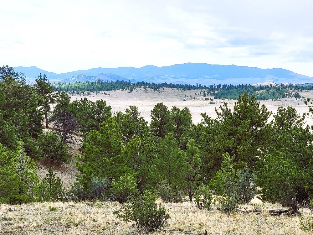1051 Arapahoe Trail Hartsel CO 80449