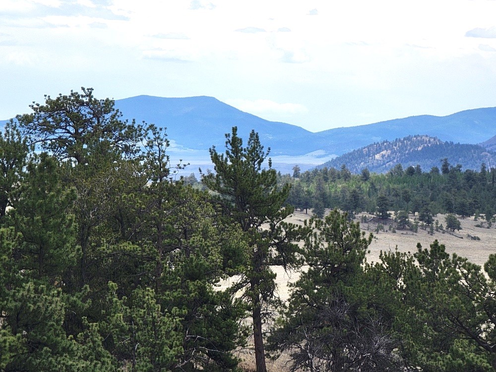 1051 Arapahoe Trail Hartsel CO 80449