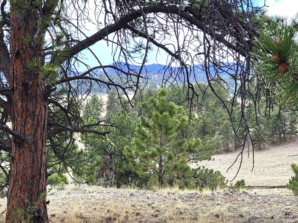 1051 Arapahoe Trail Hartsel CO 80449