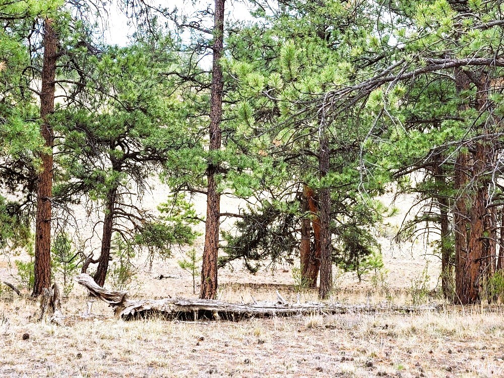 1051 Arapahoe Trail Hartsel CO 80449