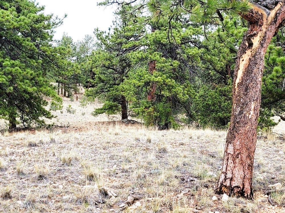 1051 Arapahoe Trail Hartsel CO 80449