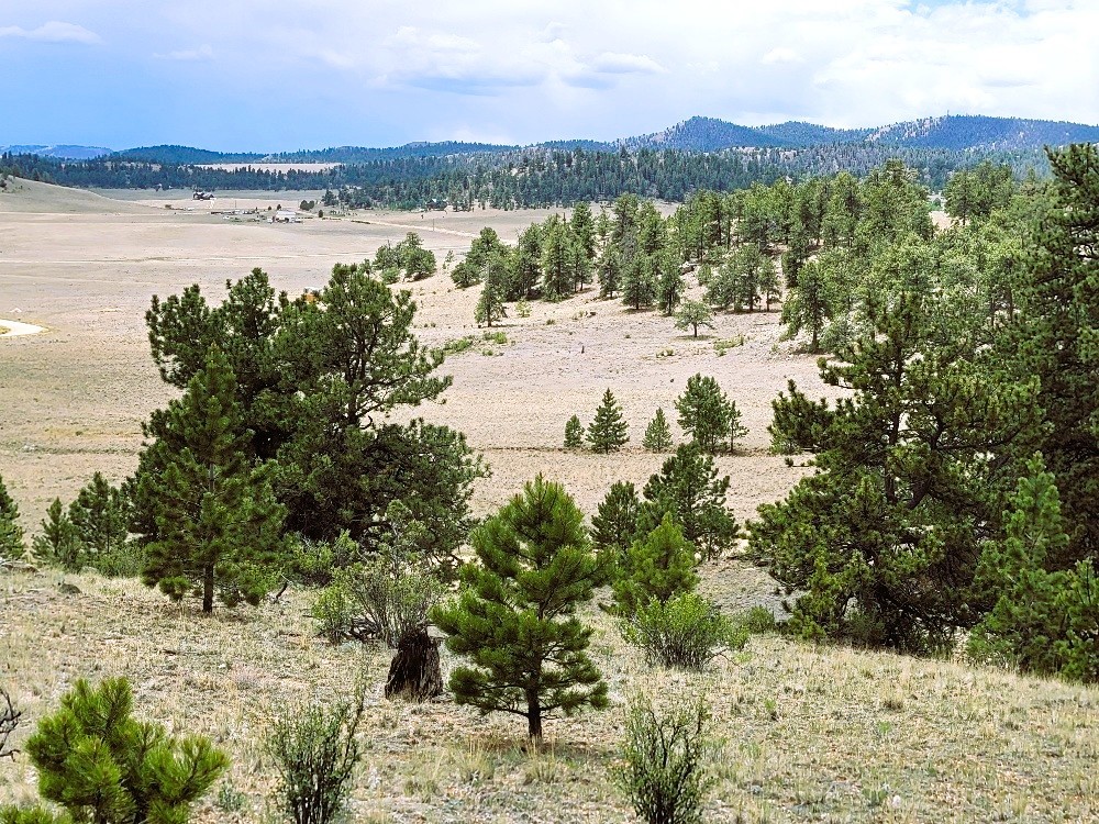 1051 Arapahoe Trail Hartsel CO 80449