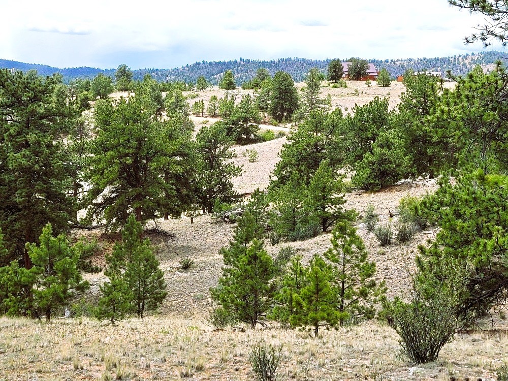 1051 Arapahoe Trail Hartsel CO 80449
