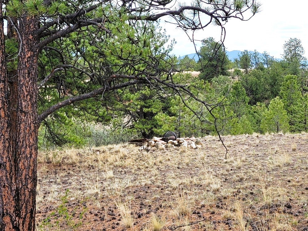 1051 Arapahoe Trail Hartsel CO 80449