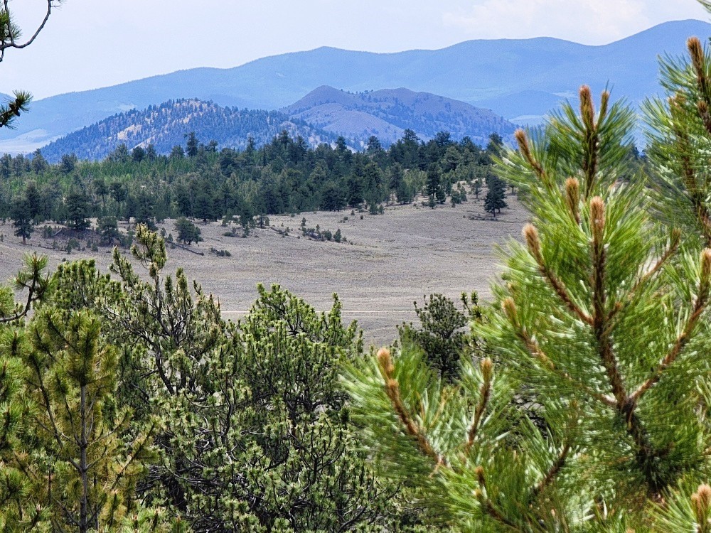 1051 Arapahoe Trail Hartsel CO 80449