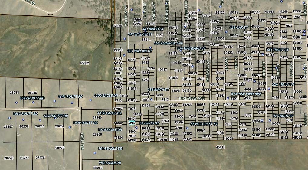 00004 Willow Street Hartsel CO 80449
