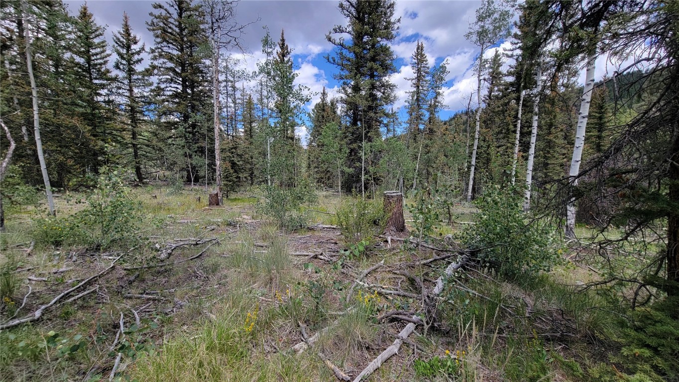 943 Bear Lane Como CO 80432