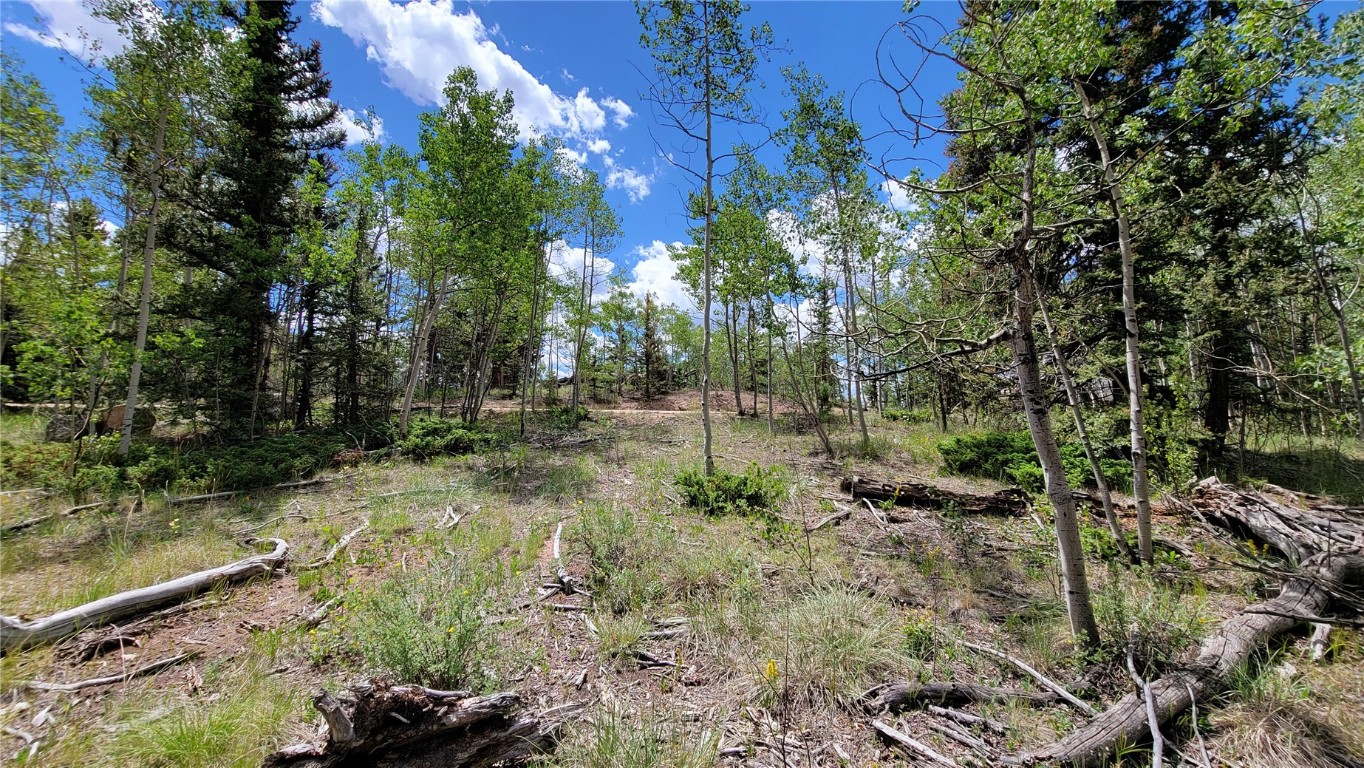 943 Bear Lane Como CO 80432