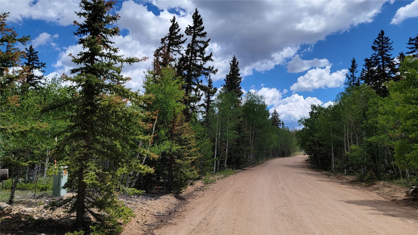 943 Bear Lane Como CO 80432
