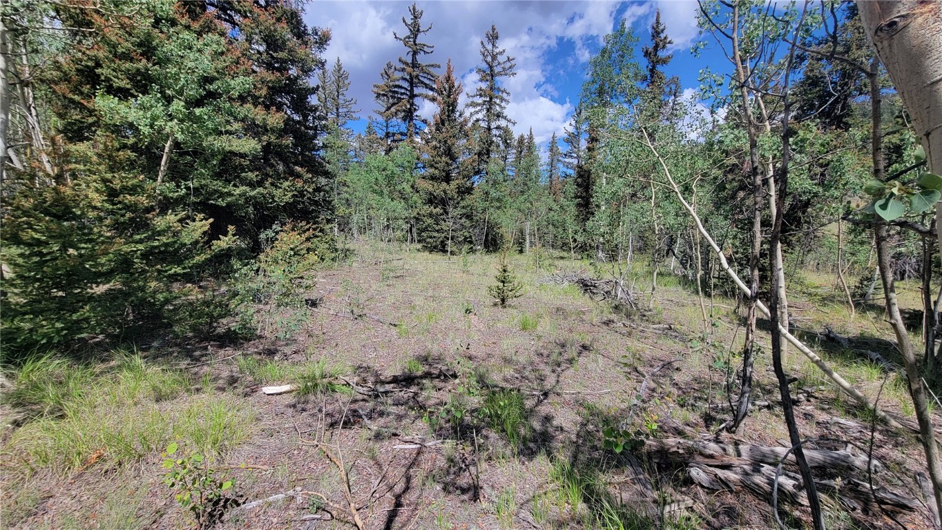 943 Bear Lane Como CO 80432