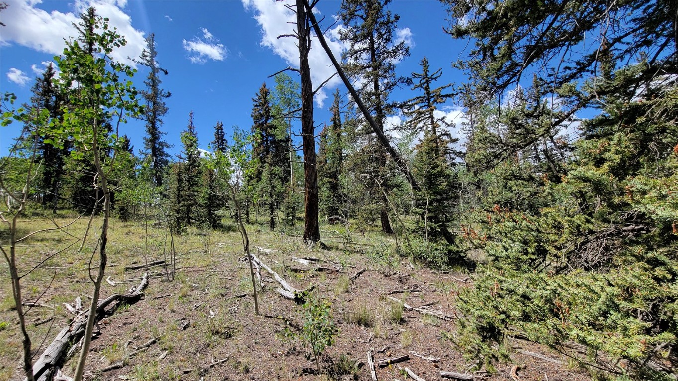 943 Bear Lane Como CO 80432