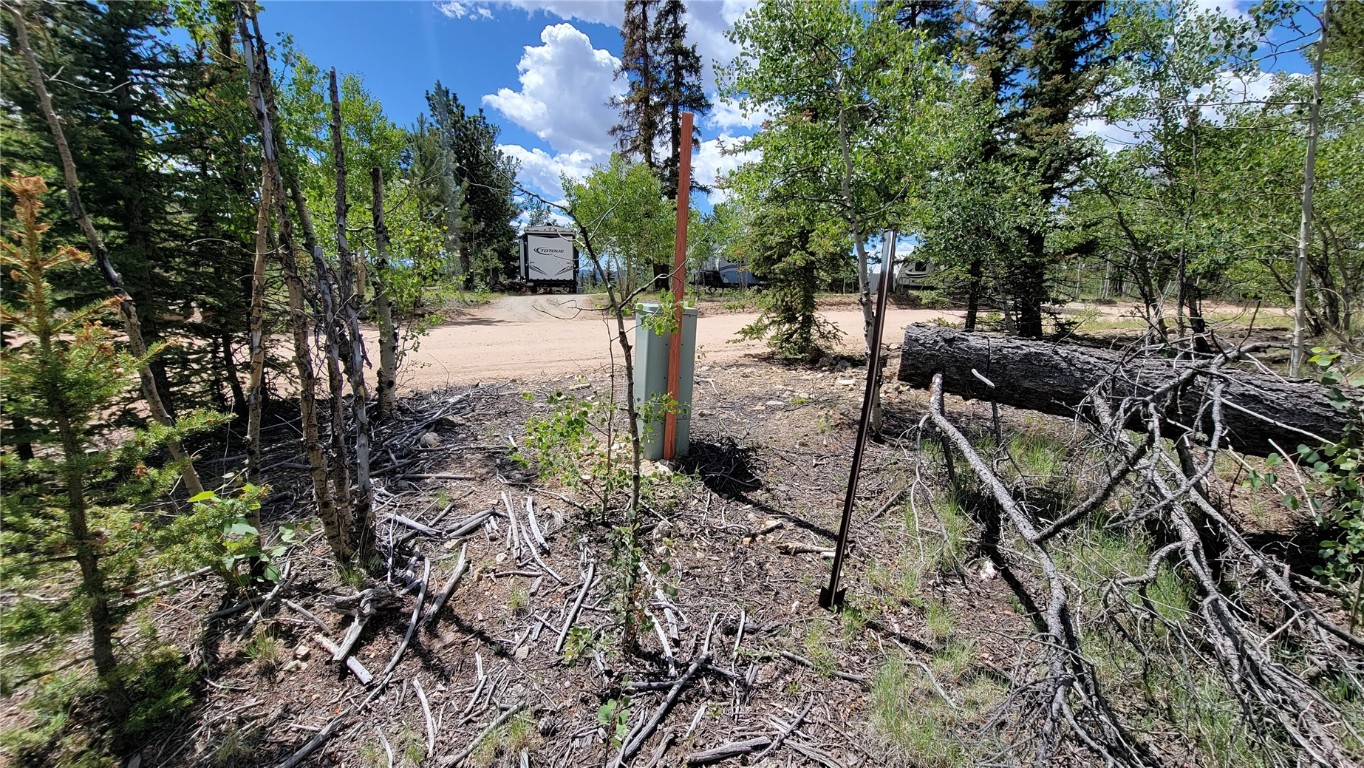 943 Bear Lane Como CO 80432