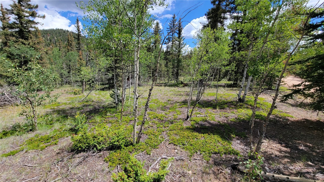 943 Bear Lane Como CO 80432