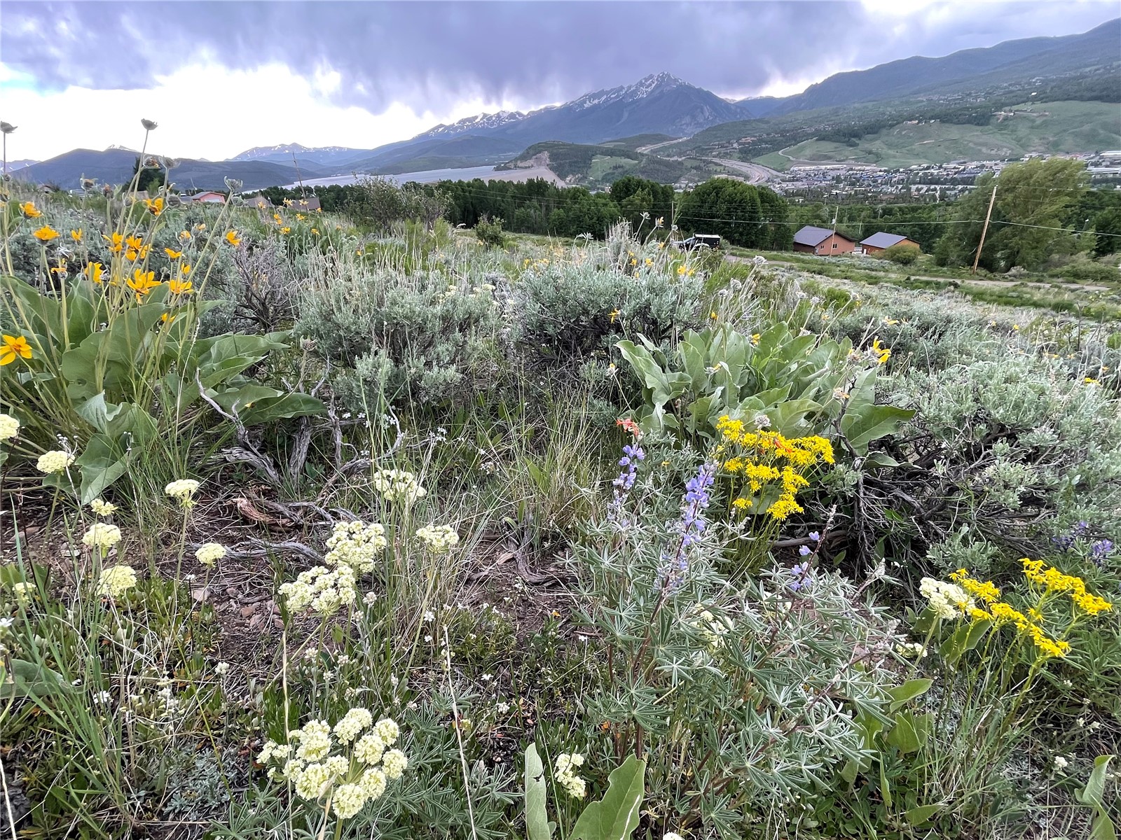 371 Z Road Silverthorne CO 80498