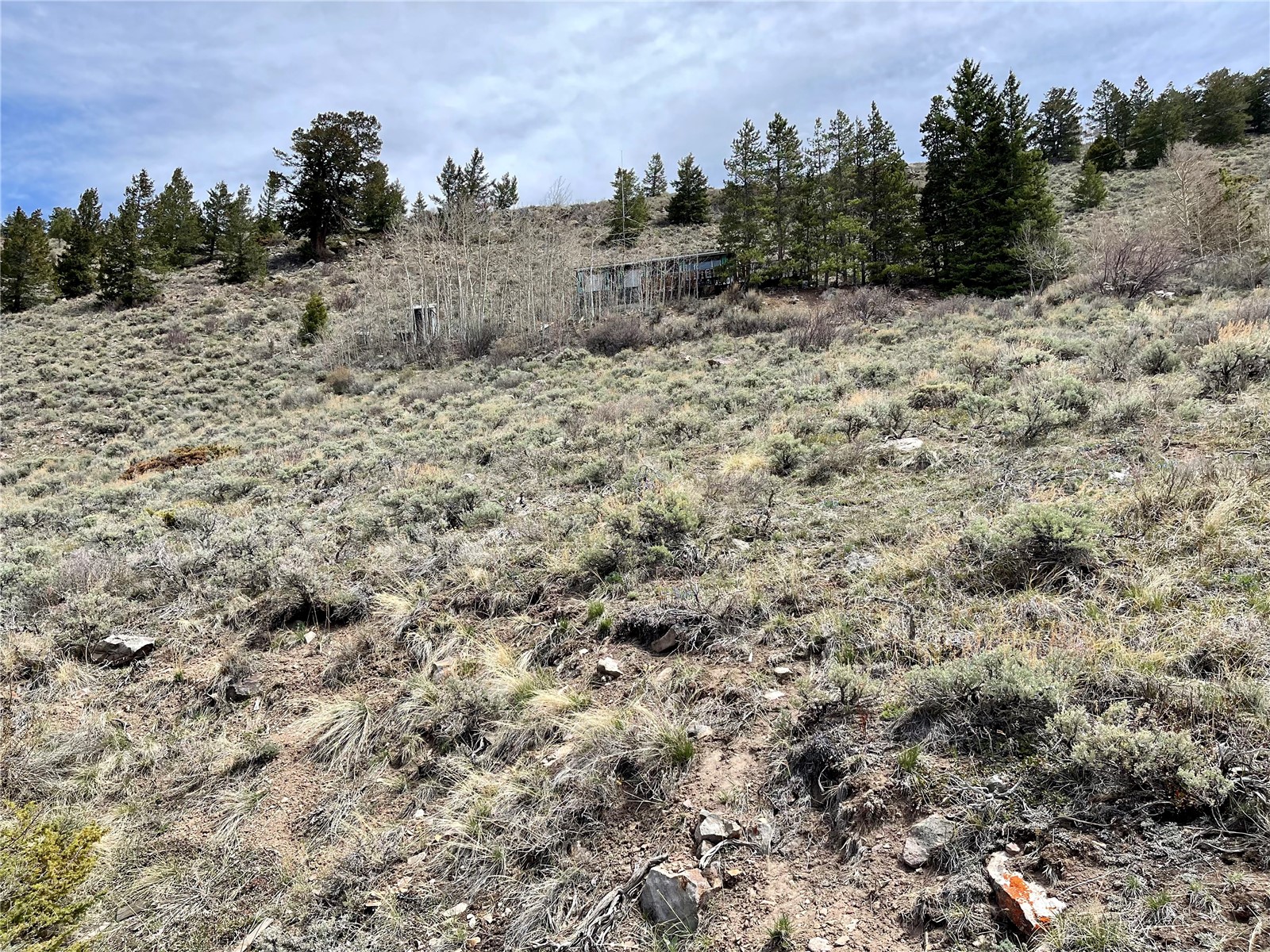 371 Z Road Silverthorne CO 80498