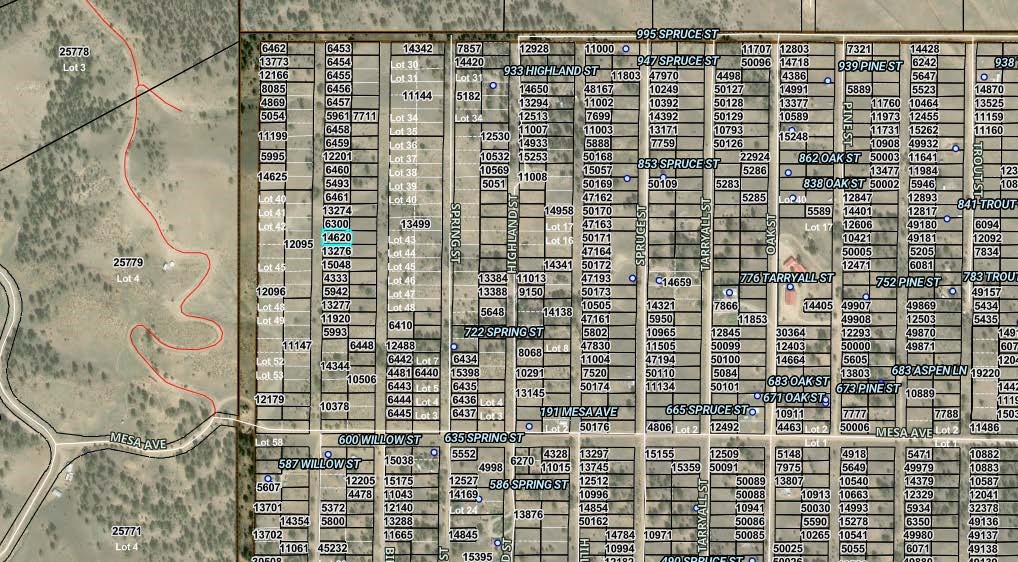 000 Willow Street Hartsel CO 80449