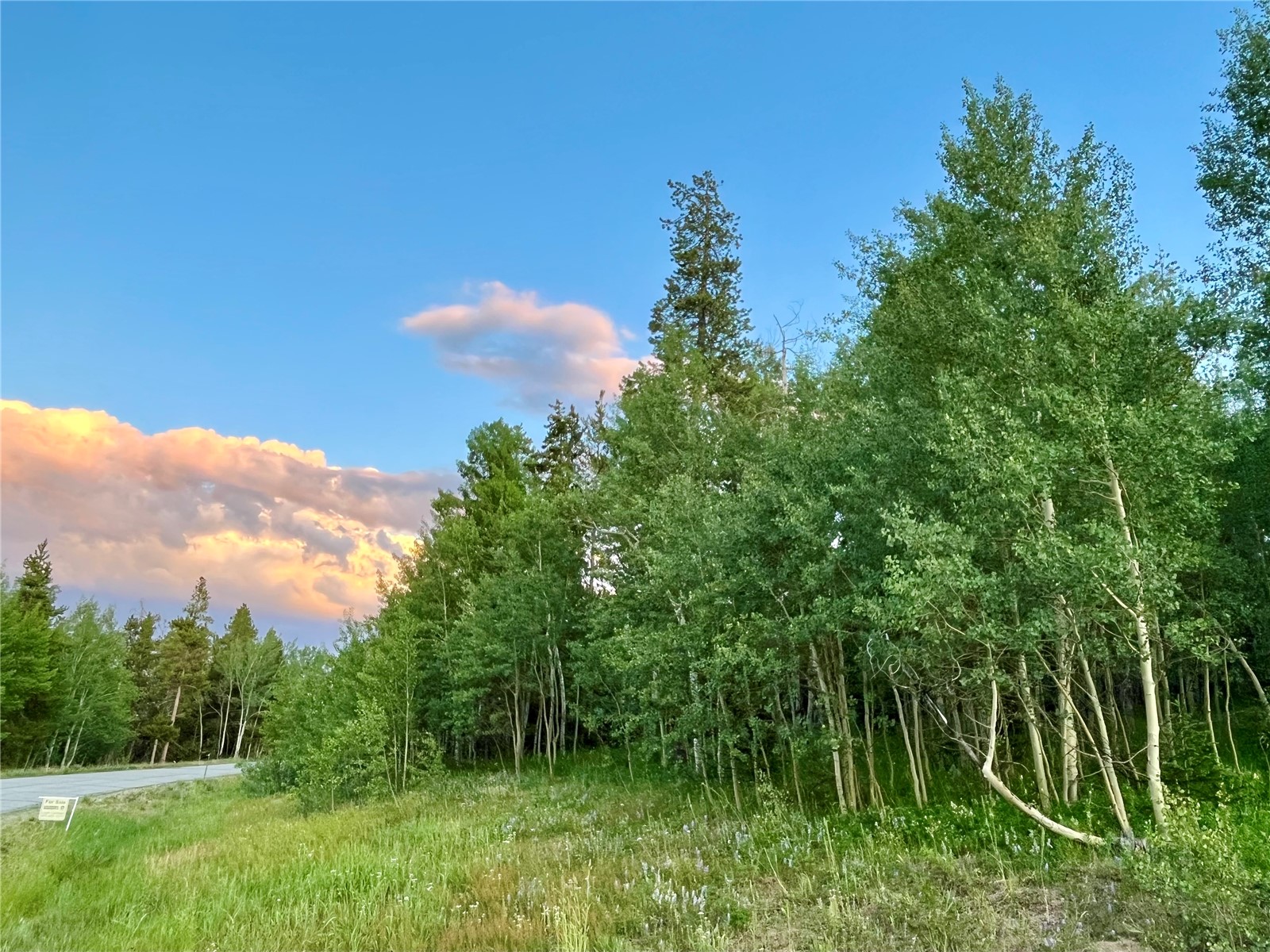 190 Easy Bend Trail Silverthorne CO 80498