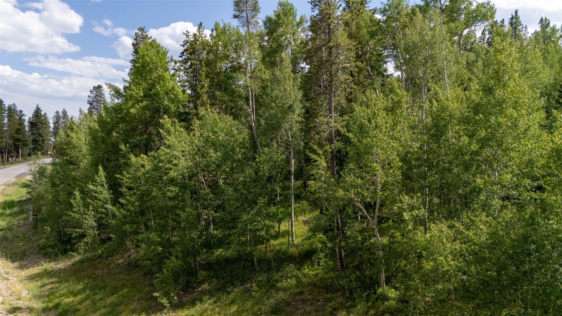190 Easy Bend Trail Silverthorne CO 80498