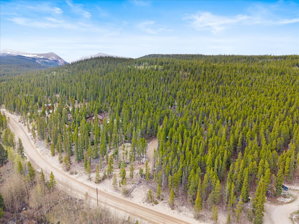 3259 Nugget Road Fairplay CO 80440