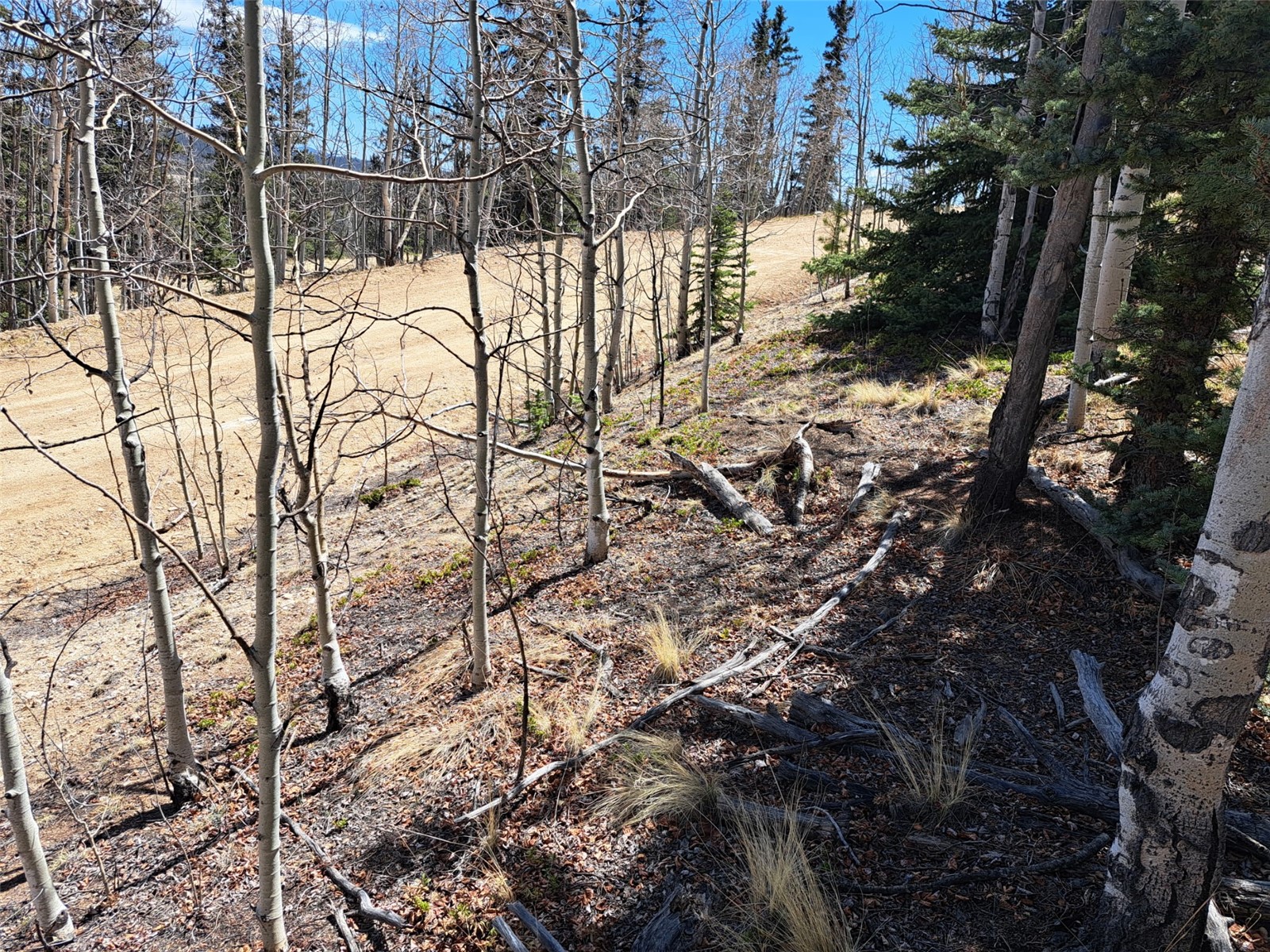 730 Tepee Trail Como CO 80432