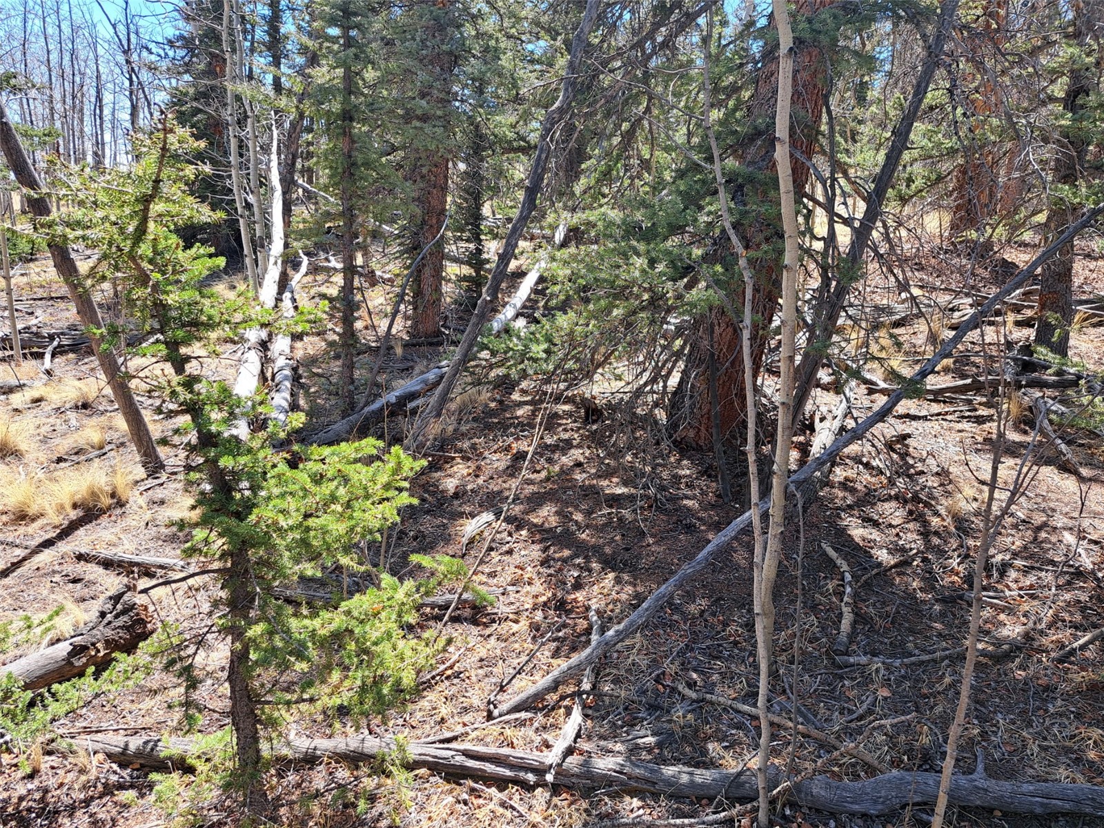 730 Tepee Trail Como CO 80432