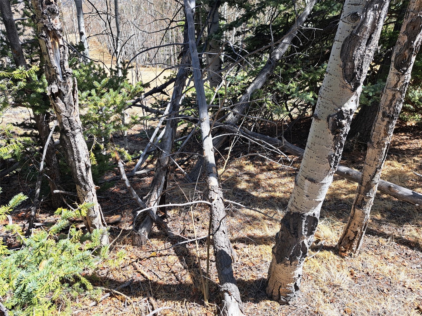 730 Tepee Trail Como CO 80432