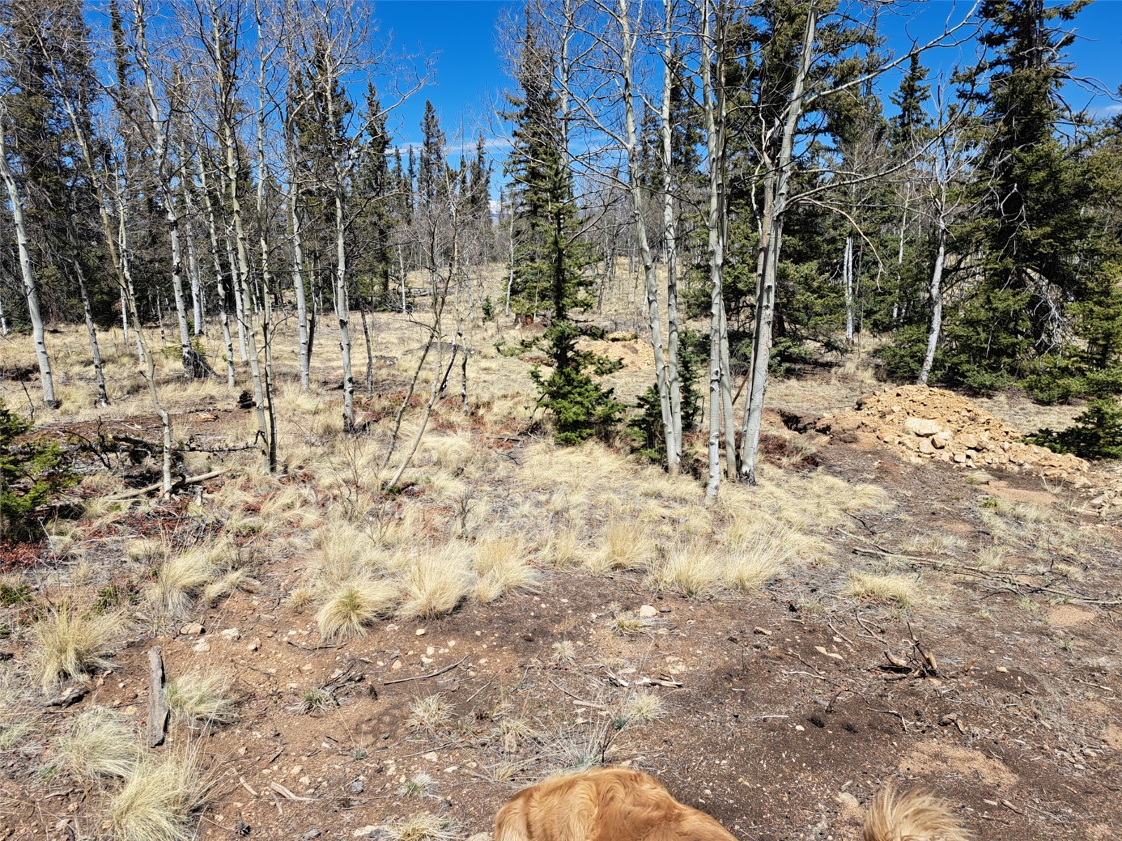 730 Tepee Trail Como CO 80432