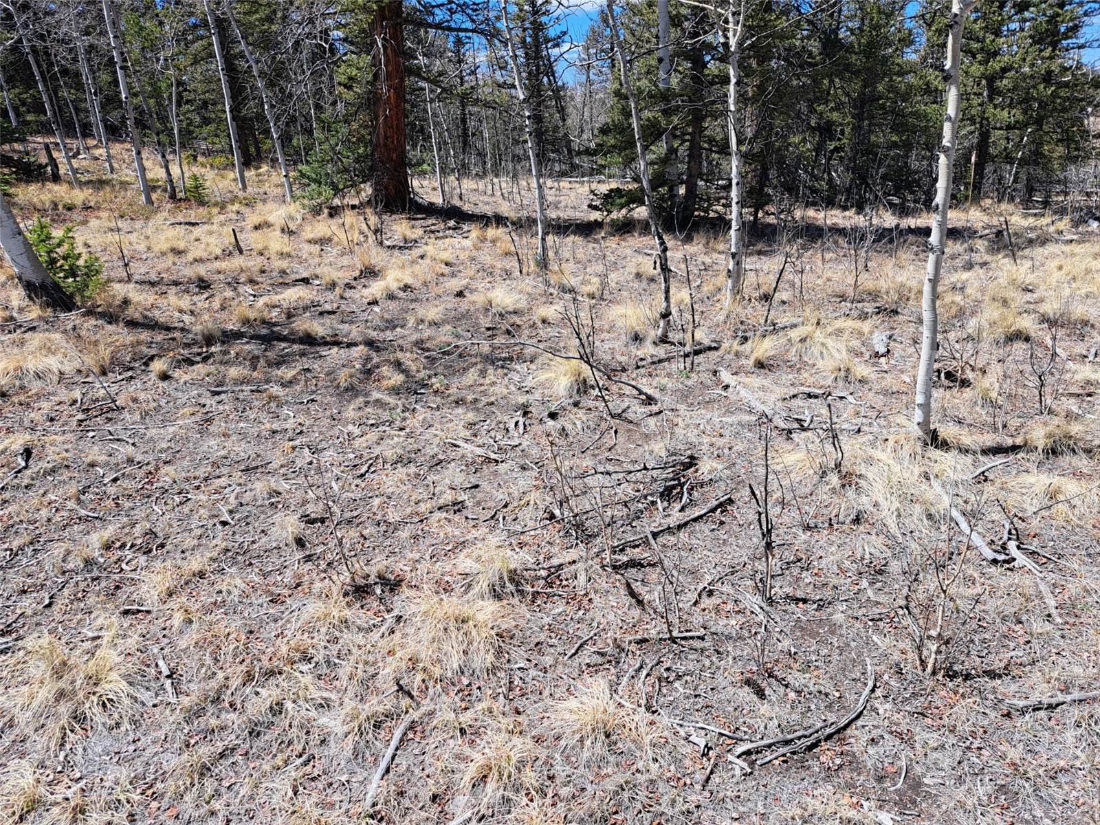 730 Tepee Trail Como CO 80432