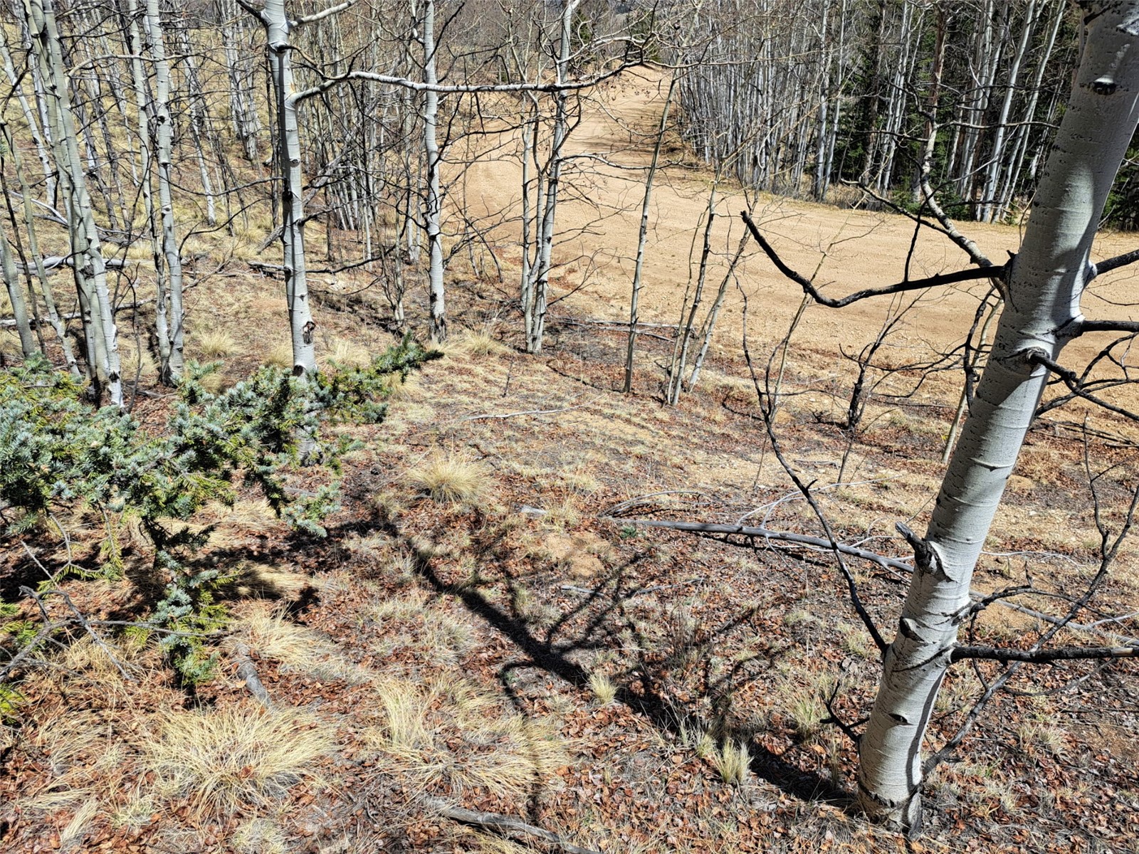 730 Tepee Trail Como CO 80432